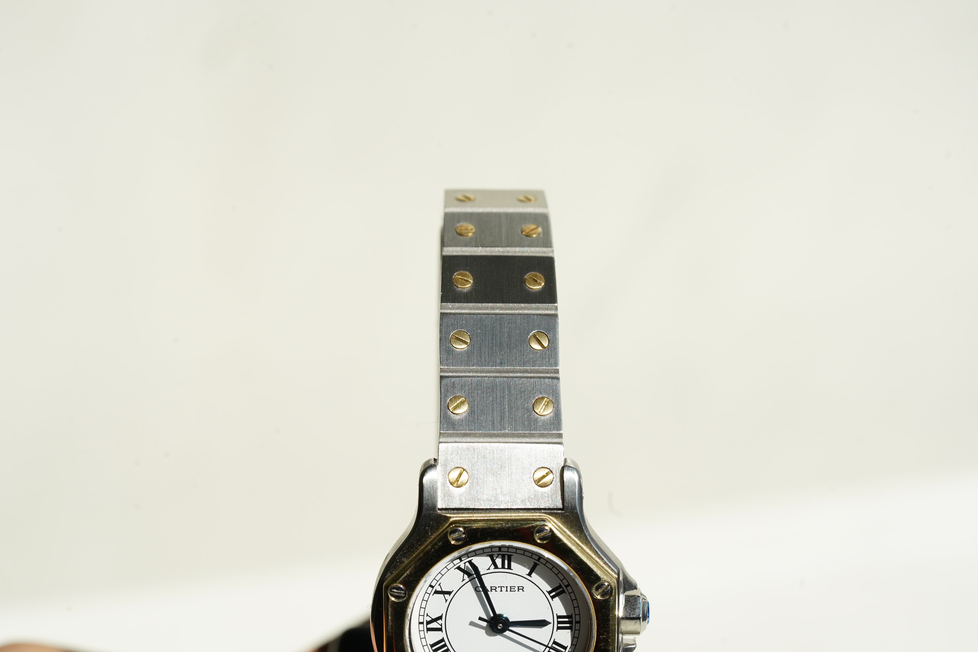 Cartier Santos SM Octagon Tropical Dial